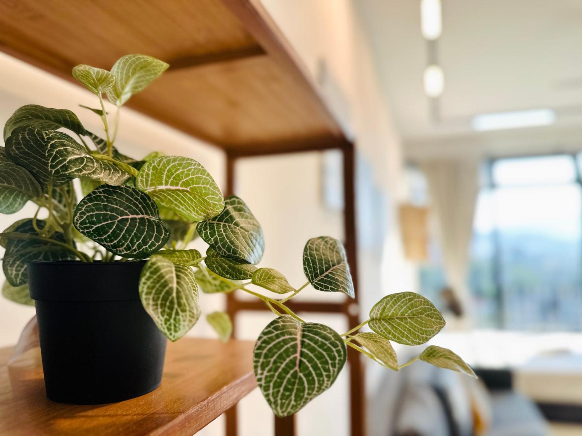 New Georgetown Instagramable 2Br Homestay For 10Pax 无敌美景两房民宿 Beacon Executive Suite Bagian luar foto